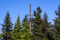 Light pole with field lights installed among a stand of evergreen trees, blue sky in the background Royalty Free Stock Photo