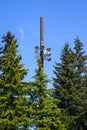 Light pole with field lights installed among a stand of evergreen trees, blue sky in the background Royalty Free Stock Photo