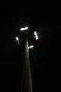 A light pole with four large lights illuminating the many bugs that are attracted by the lights