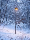 Light post in the small woods in the park Royalty Free Stock Photo