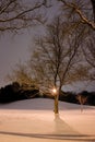 Light Post, Snowy Hill, Trees and it is Winter Time Royalty Free Stock Photo