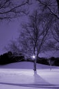 Light Post, Snowy Hill, Trees and it is Winter Time Royalty Free Stock Photo