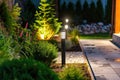 Light posts illuminated backyard garden during night hours. Modern backyard outdoor lighting systems