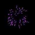 light purple fireworks burst in the air light up the sky with dazzling display and Colorful fireworks festivals on black Royalty Free Stock Photo