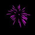 light purple fireworks burst in the air light up the sky with dazzling display and Colorful fireworks festivals on black Royalty Free Stock Photo