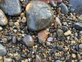 Light purple / lavender Sea glass on the coast of Maine