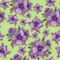 Light purple malva flowers with brown leaves on green background. Seamless floral pattern. Watercolor painting.