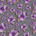 Light purple malva flowers with green and brown leaves on grey background. Seamless floral pattern. Watercolor painting. Royalty Free Stock Photo