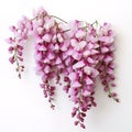 Light Purple wisteria on white background, Generative AI