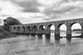 Light Railway bridge