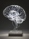 Light Ray Illuminating a Brain Glass Model in a Calm Studio Environment With Soft Lighting Creating an Intriguing Visual Royalty Free Stock Photo