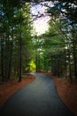 Early Morning Lightrays at Suncadia Walking Trail