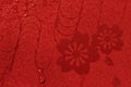 Light red floral cloth with water splash