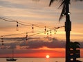 light red and yellow sunset beautiful view panorama blue sea with palm tree cloud sky of tropical beach Royalty Free Stock Photo