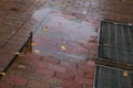 Light reflecting in puddles on wet red brick sidewalk, metal grates and autumn leaves