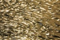 light reflection of river wave in the sunset time, water background Royalty Free Stock Photo