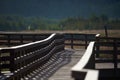 Light reflections on wooden boardwalk over marshland lit by sunlight in the golden hour.