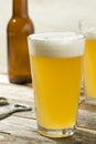 Light Refreshing Summer Craft Beer