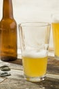 Light Refreshing Summer Craft Beer