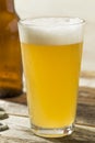 Light Refreshing Summer Craft Beer Royalty Free Stock Photo