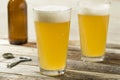 Light Refreshing Summer Craft Beer Royalty Free Stock Photo