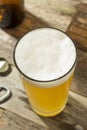 Light Refreshing Summer Craft Beer Royalty Free Stock Photo