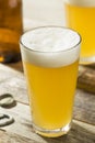 Light Refreshing Summer Craft Beer Royalty Free Stock Photo