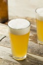 Light Refreshing Summer Craft Beer Royalty Free Stock Photo