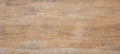 light rustic wood background with dark veins on natural panel