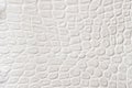 Light scales macro exotic background, embossed under the skin of a reptile, crocodile. Texture genuine leather close-up