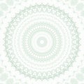 Light scetch pattern kaleidoscope abstract. texture kalamkari