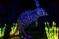 Light sculpture of bilby marsupial in Taronga Zoo. Vivid Sydney light festival