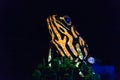 Light sculpture of Corroboree frog in Taronga Zoo. Vivid Sydney light festival Royalty Free Stock Photo