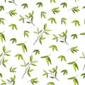 Light seamless background with green leaves. Vector endless texture for kitchen textiles, bedding, fabric and and bkmagi for Royalty Free Stock Photo