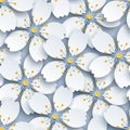 Light seamless background with white sakura Royalty Free Stock Photo