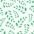 Light seamless watercolor botanical leaves pattern with green branches Royalty Free Stock Photo