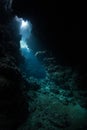 Light Seeps Into Dark Underwater Cavern Royalty Free Stock Photo