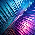 Light and Shade on Palm Leaf Background Royalty Free Stock Photo