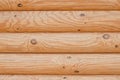 Light shade wood texture of logs Royalty Free Stock Photo