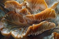 Closeup of colorful mushroom lamellae, magic mushroom, macro view.