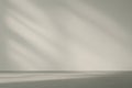 Minimalist Sunlight Shadow Over White Empty Studio Wall Background Royalty Free Stock Photo