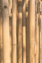 Light and shadow on dry bamboo texture exactly vertical straight fence Royalty Free Stock Photo