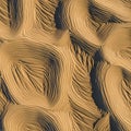 Light and shadow interplay, highlighting the smooth ridges and deep troughs Royalty Free Stock Photo