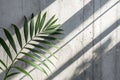 Light and Shadow of Leaf Abstract Grey Background Royalty Free Stock Photo