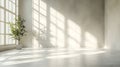 Light and shadow play in an empty room with plant near a large window Royalty Free Stock Photo