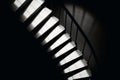 Light and shadow stairs concept Royalty Free Stock Photo