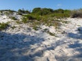Light and Shadows on the Florida Dunes