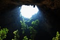 Light shines through the cave to the tree