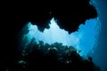 Light Shines Into Dark Underwater Crevice in Raja Ampat