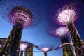 Light show at Marina Bay Garden, Singapore.